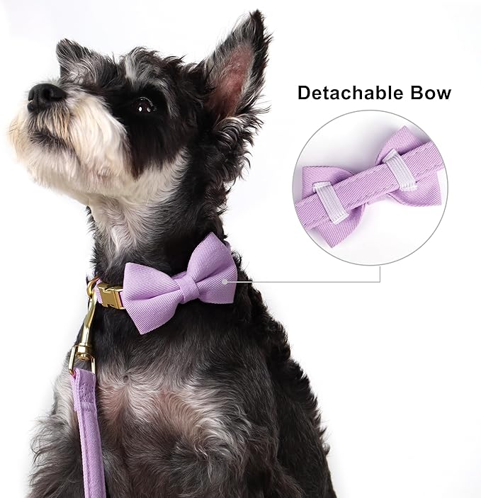Beirui Cute Extra Small Dog Harness Set with Three Detachable Bows, Adjustable Step in Dog Harness Collar and Leash Set with Secure Metal Buckle for Daily Walking, Parties & Holiday Outfits(Purple,XS)