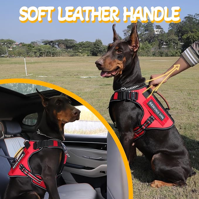 Tactical Dog Harness - HEYCAHVA Service Dog Vest Full Metal Buckles Dog Vest for Medium Large Dog Reflective No Pull Dog Harnesses Vest with Leather Handle, Hook & Loop for Hiking Training (Red, M)