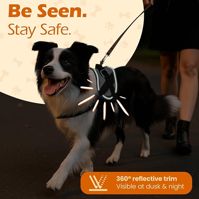 Bark Appeal Gray No-Pull Dog Harness for Small to Medium Sized Pets – Adjustable, Reflective Vest with 3 Leash Clips for Added Control, Easy Walks & Training – M