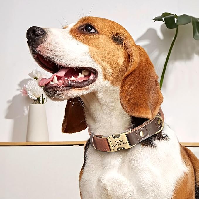 Personalized Dog Collars, Custom Soft PU Leather Dog Collar with Pet Name and Phone Number for Large Dogs, Adjustable and Durable Pet Collars with Quick Release Metal Buckle,XL(17-26")