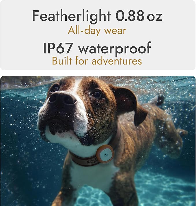 Molly&Cody GPS + Bluetooth Pet Tracker for Cats & Dogs – Real‑Time Tracking, Virtual Fence, IP67 Waterproof, Up to 60‑Day Battery, Health Monitoring, iOS/Android – Subscription Required (Red)