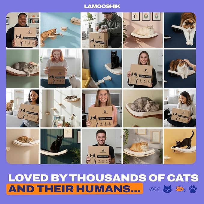 Cat Wall Shelves, Natural Finish – Floating Cat Furniture with Curved Bed & Steps | Modern Minimalist Wood Climbing Shelves Set of 4 for Indoor Cats, Sturdy Wall-Mounted Design