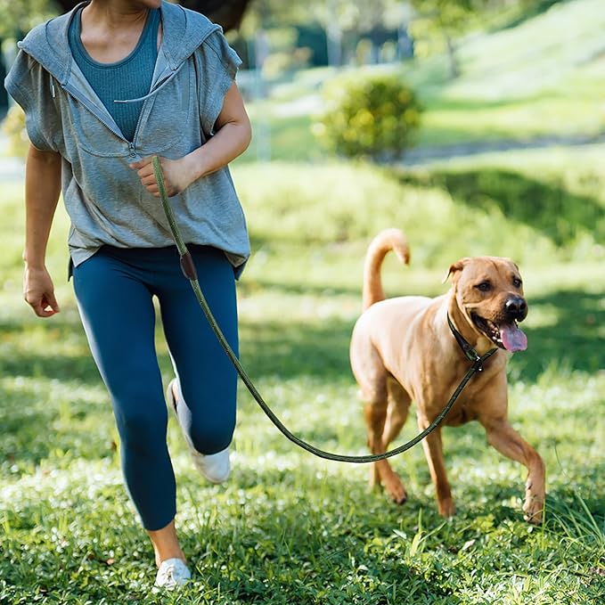 TwoEar Slip Leads for Dogs, 1/2" x 6FT Slip Leash for Large Dogs with Highly Reflective Threads, Comfortable Strong Rope Slip Leads, No Pull Pet Training Leash, Green