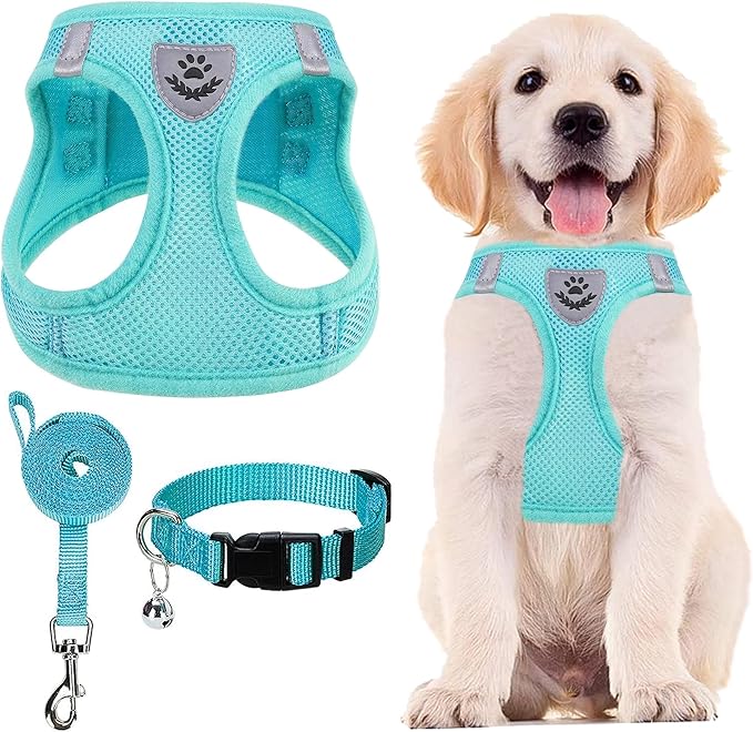 PUPTECK Adjustable Dog Harness Collar and Leash Set Step in No Pull Pet Harness for Small Medium Dogs Puppy and Cats Outdoor Walking Running, Soft Mesh Padded Reflective Vest Harnesses, Turquoise S