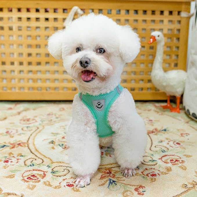 PUPTECK Adjustable Dog Harness Collar and Leash Set Step in No Pull Pet Harness for Small Medium Dogs Puppy and Cats Outdoor Walking Running, Soft Mesh Padded Reflective Vest Harnesses, Solid Green S