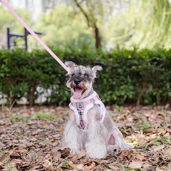 EXPAWLORER Fleece Lined Step-in Dog Harness - Soft Plush Padded Puppy Harness and Leash Set with Adjustable Dog Collar, No Pull Escape Proof Suede Dog Vest Harness for Small Dogs, Pink S