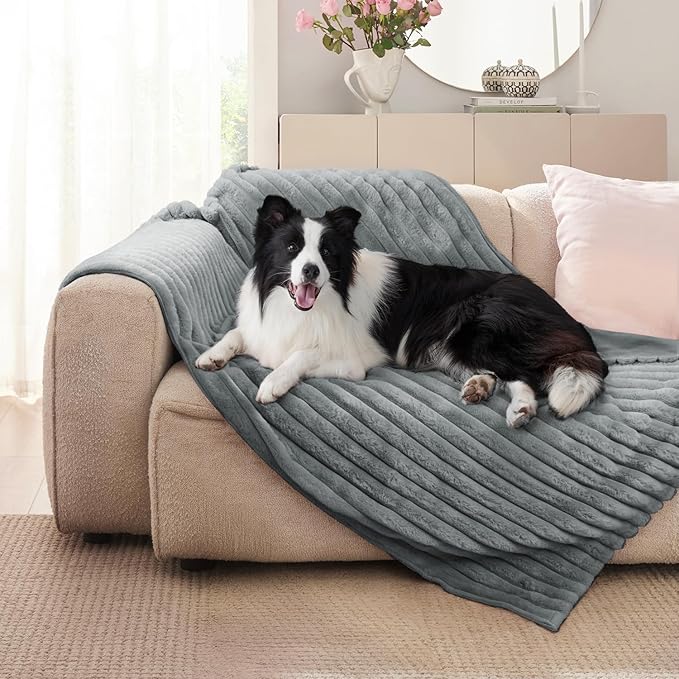 Waterproof Dog Blanket for Small Dogs, Luxury Plush Washable Cats Blankets for Couch Protection, Super Soft Calming Pet Blanket for Indoors (Grey, 25"x35")
