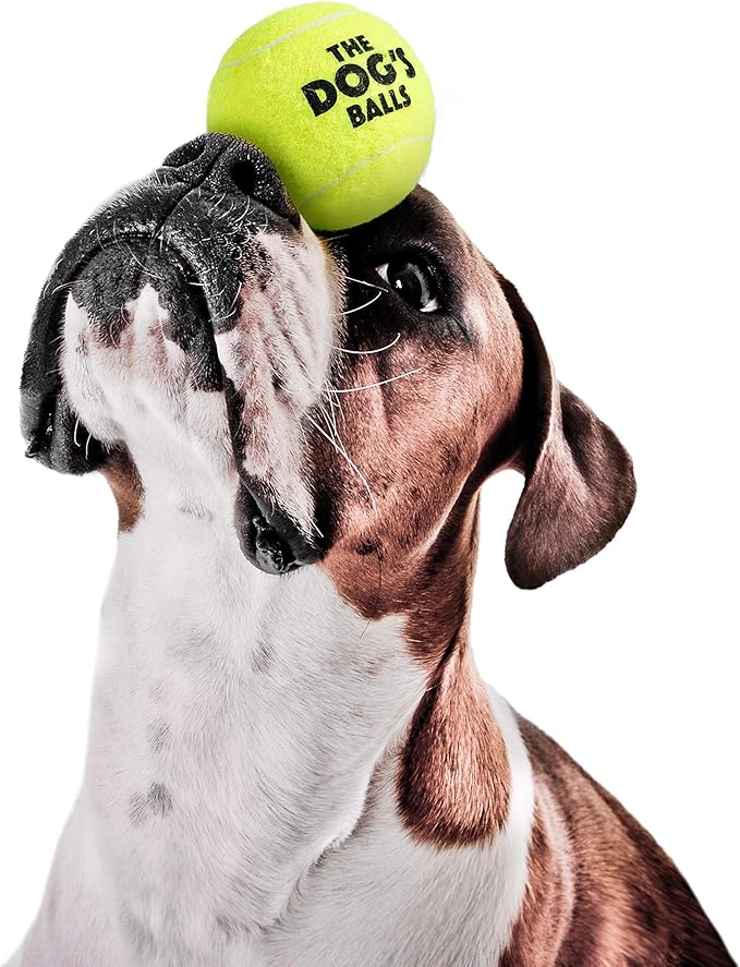 The Dog's Balls, Dog Tennis Ball, Yellow 12-Pack,Strong Toy for Agility Training, Puppy Training, Play, Exercise & Fetch, 2.5 Inch Diameter