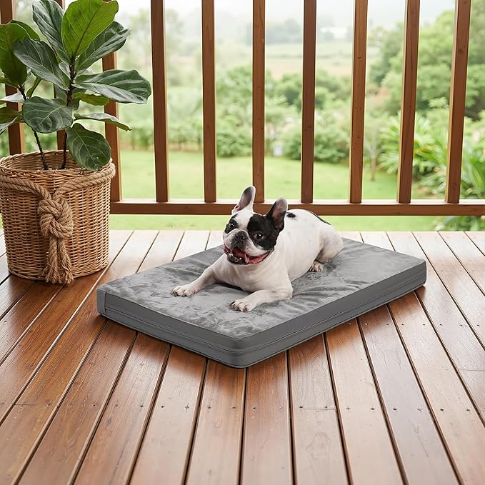 Waterproof Small Dog Bed Crate Pad 24 inch, Washable Puppy Bed Orthopedic with Removable Cover Reversible, Foam Dogs Bed, Cat Bed Kennel Pad 23" x17, Durable Anti-Slip Bottom, Gray