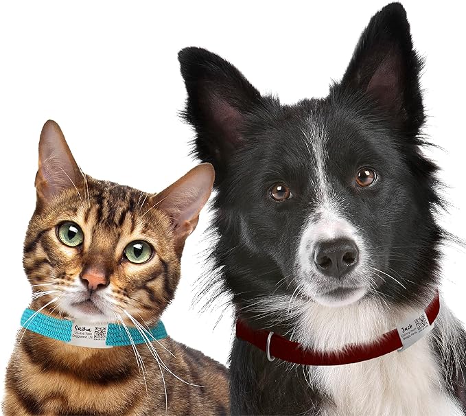 Scannable QR Code Pet ID – Silent Slide-On Custom Name Plate for Collars and Harnesses, Personalized Lost & Found Info