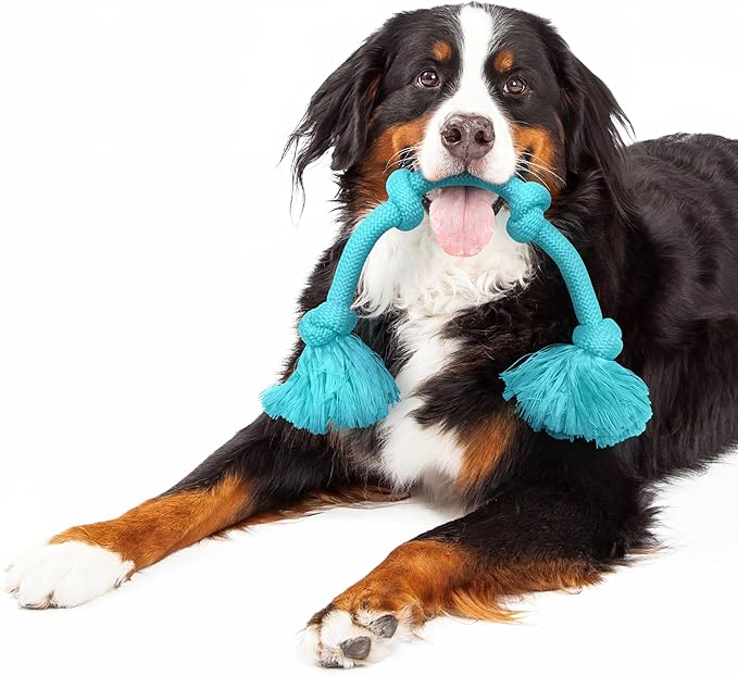 Playology Rope Toys for Dogs | Tug of War Dog Toy for Aggressive Chewers | Peanut Butter Scented Dog Toys | Mega Rope Toy for Interactive Play