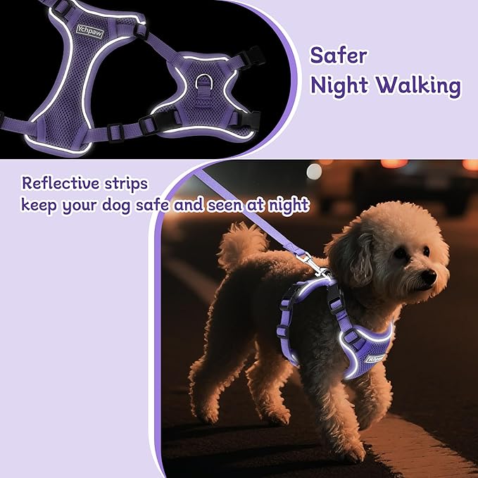 Small Dog Harness and Leash Set, Reflective Soft Breathable Mesh Vest, 3 Buckles, Adjustable Neck and Chest,Step in Dog Harness for Walking, Running, Training, Purple, M
