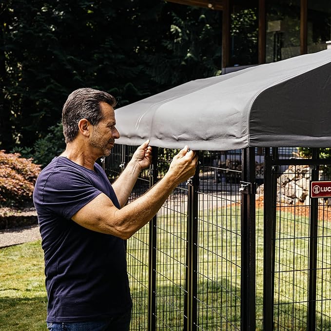 Lucky Dog Stay Series 8 x 8 Feet Executive Black Powder Coat Steel Frame Outdoor Dog Kennel with Waterproof Canopy Roof and Single Gate Door, Grey