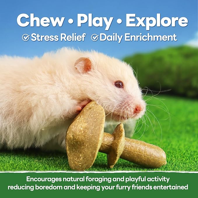 TEEWY 3PCS Guinea Pig Chew Toys, Prevent Teeth Overgrowth, Natural Timothy Grass & Vegetables, Hamster Chew Toys, Guinea Pig Toys, Chinchilla Toys, Mushroom-Shaped