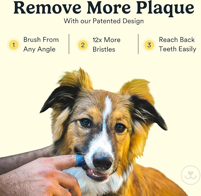 Jasper Dog Toothbrush, 360 Degree Dog Tooth Brushing Kit, Cat Toothbrush, Canine Dental Care & Teeth Cleaning Kit, Pet Finger Tooth Brush, Use with Pet Toothpaste, 2-Pack Clear