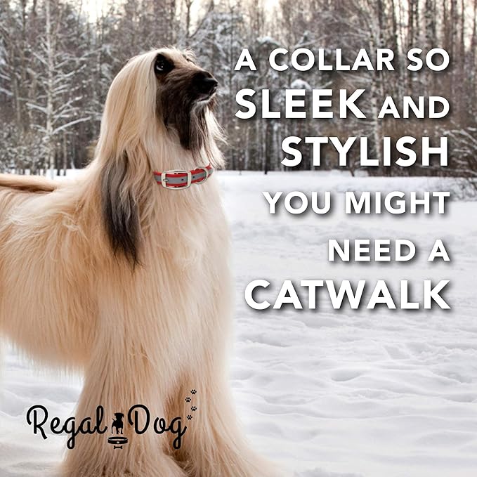 Regal Dog Products Medium Red Reflective Dog Collar with Custom Engraved Name Plate and Heavy Duty Center Ring | Waterproof Biothane Personalized Dog Collars - Other Sizes for Small & Large Dogs