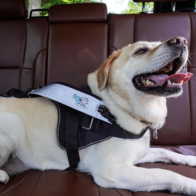 5-in-1 Reflective Cross-Body Dog Leash System, Hands-Free Design with Storage Pouch, Car Restraint, Hoist Support for Walking, Night Safety