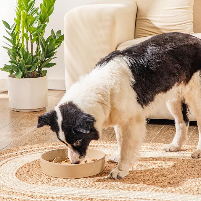 vancasso Slow Feeder Dog Bowl, 3 Cups Ceramic Slow Feeder for Large Breed, Puzzle Maze Dog Food Bowl for Fast Eater, Khaki