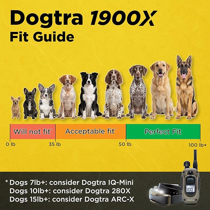 Dogtra 1900X Handsfree E-Collar for Dog Training - 3/4 Mile Range, for Dogs 45 lbs+, Waterproof, 100 Stimulation Levels, Vibration, Tone, Rechargeable - Hands-Free Remote for Dog Owners and Trainers