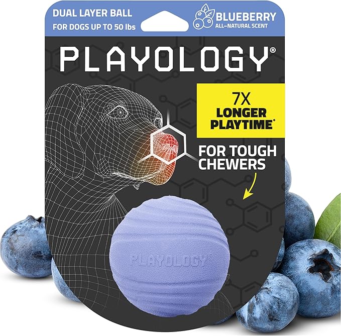 Playology Dog Toys | Dual Layer Ball Durable Chew Toy for Aggressive Chewers | Medium Blueberry Scented Toy - Easy to Clean and Made from Non Toxic Materials