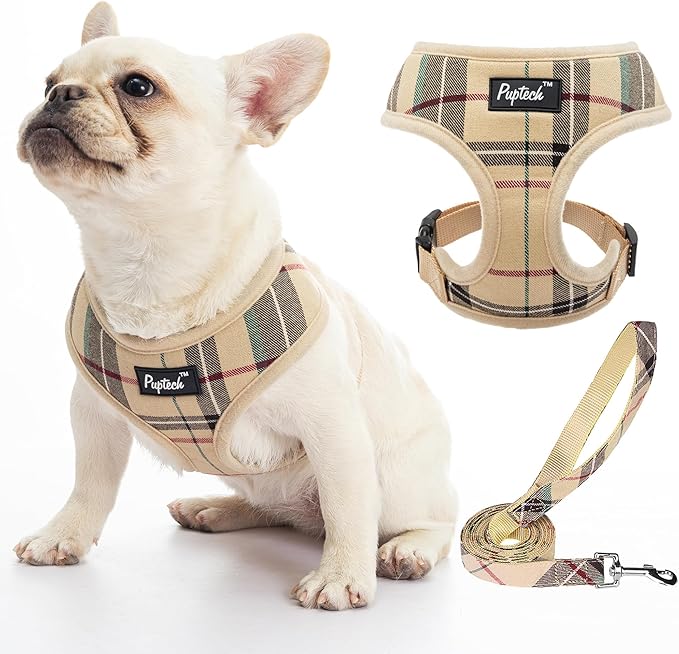 PUPTECK Soft Mesh Dog Harness Small Sized and Leash Set Pet Puppy Cat Comfort Padded Vest No Pull Harnesses, Beige, S