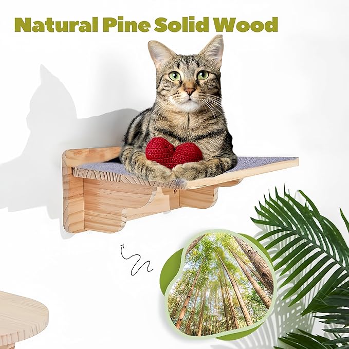 Cat Wall Shelves with 3 Steps - All-in-One Climbing & Resting Furniture, Solid Wood Wide Perch & Hammock for Indoor Cats, Supports up to 25lbs for Small to Large Cats