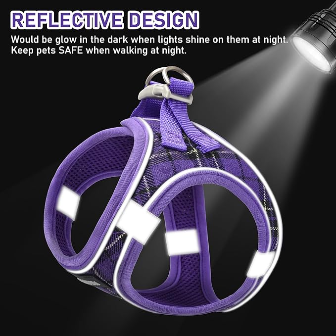 GAMUDA Small Dog Harness Collar and Leash Set, Step in No Chock No Pull Soft Mesh Adjustable Dog Vest Harnesses Plaid Reflective for Dogs Puppy Cats Kitten Rabbit (Purple, XS)