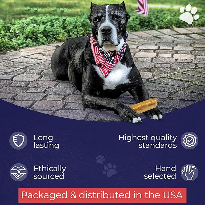Devil Dog Pet Co. Himalayan Yak Cheese Dog Chews, Large - 12 Pack, 100% Natural & Healthy, Lactose-Free, Long-Lasting Dog Treats, Premium Yak Milk Chew Bones for Dogs