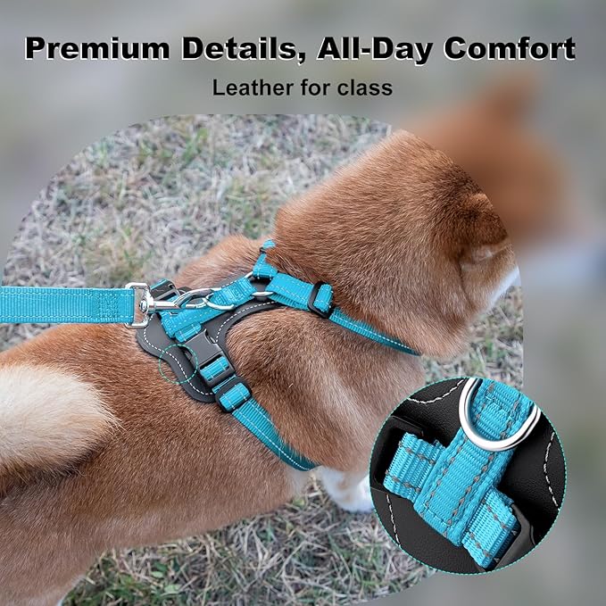 Plutus Pet Adjustable No Pull Dog Harness with Leather Accents, Heavy Duty Reflective Nylon Vest for Training, Hiking, Easy Walk Harness for Small, Medium, Large Dogs (Light Blue, S)