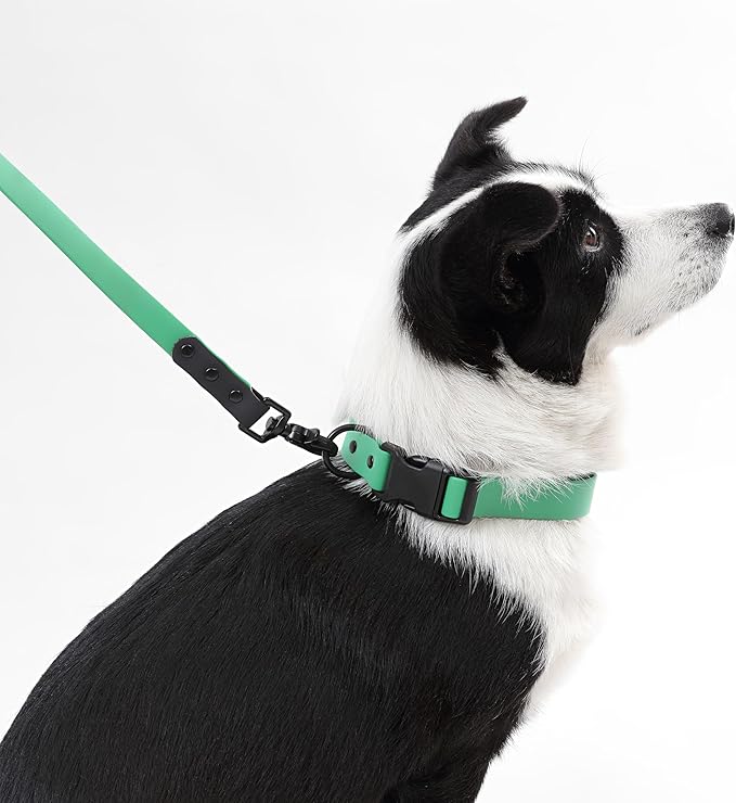 WLK1006K-5SET Luna Large 8FT Adjustable 6-in-1 Waterproof Hands-Free Leash and Collar with LED Flashlight, Bag Dispenser, and Poop Bag Holder, Julep