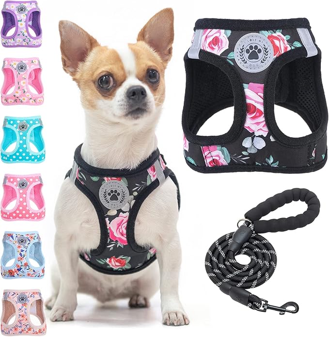 BEAUTYZOO Step in Dog Leash Set, Floral Pattern Reflective Harness No Pull No Choke Puppy Harness for XXS XS S Pets, Soft Padded Mesh Vest for Girl and Boy Dogs and Cats