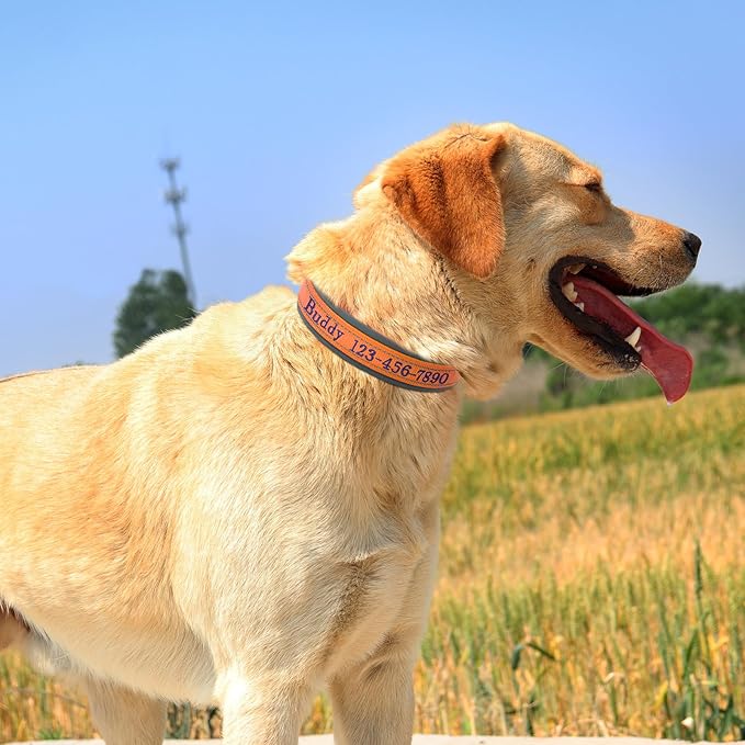 Nylon Personalized Dog Collar with Embroidered Name & Phone, Customizable, Reflective Strip, Soft Neoprene Lining, Durable Metal Buckle - Matching Leash Available