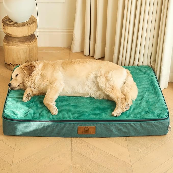 Orthopedic Memory Foam XXL Dog Bed - 6" Thick Beds for Extra Large Sized Dog - Waterproof Removable Washable Cover & Wrap-Around Zipper - Ultimate Comfort & Easy Maintenance, Green