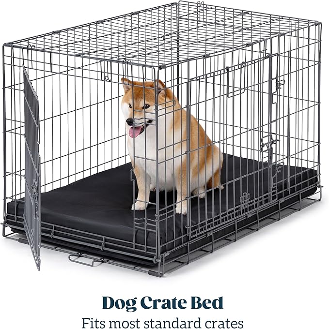 Cybarmour Chew Proof Dog Bed - Orthopedic Indestructible Dog Crate Pad - Outdoor Waterproof Kennel Mat for Aggressive Chewers - Small Breeds & Fits 24-Inch Crate - 23"x16", Black