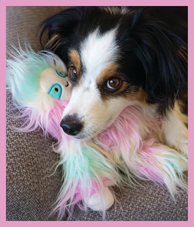 Flourish Pets 3 in 1 Multi-Layer Chew Toy for Active Dogs | Non-Toxic BPA Free Double Stitched Soft Fabric Exterior Dog Toys | Long-Lasting Dog Plush Toys –Sloth Small 3.5"