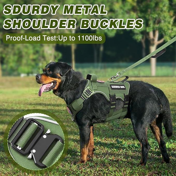 Tactical Service Dog Vest Harness and Leash Set,Heavy Duty Dog Harness with Metal Buckles for Medium Sized Dogs,Adjustable No Pull Pet Vest with Patches for Training Working Hiking,Green M