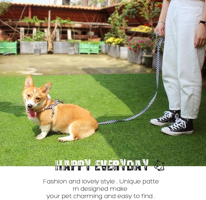 QQPETS Dog Harness Leash Set Adjustable Heavy Duty No Pull Halter Harnesses for Small Medium Large Breed Dogs Back Clip Anti-Twist Perfect for Walking (M(19"-26" Chest Girth), Black Plaid)