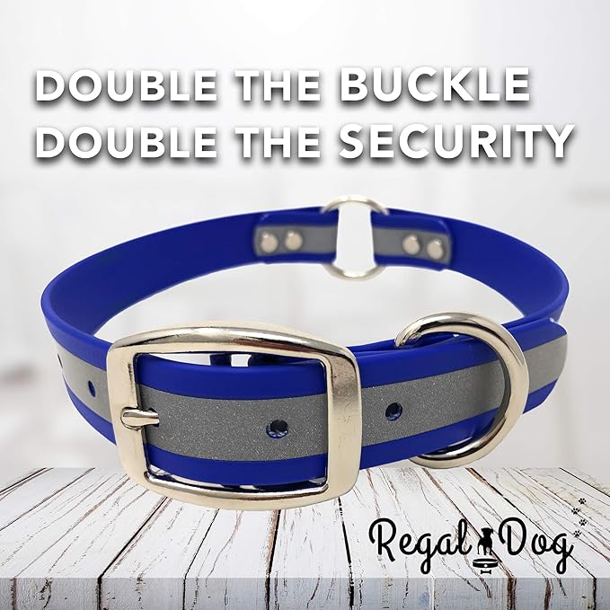 Regal Dog Products Large Blue with Custom Engraved Reflective Dog Collar and Leash Set | Waterproof Dog Collar with D Ring | Center Ring & 5'ft Leash | Matching Dog Collar and Leash for Dogs