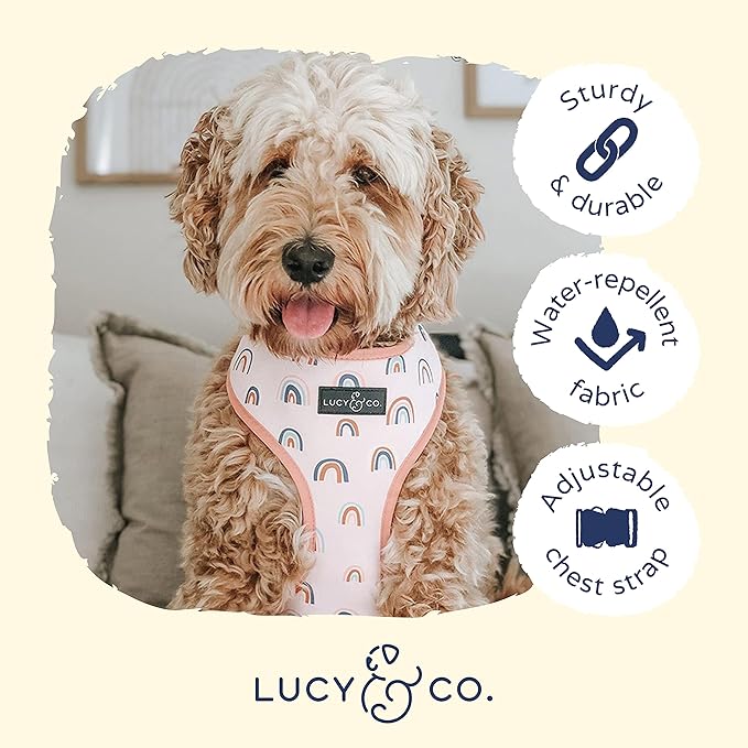 Lucy & Co. in The Clouds, Cute Reversible Dog Harness Walking Halter - Best Designer Pet Harnesses for Medium Dogs - Padded Adjustable Vest for Easy Walking (Medium)