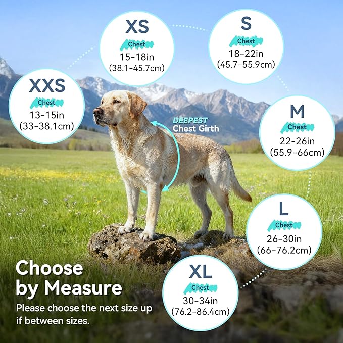 VIVAGLORY Wetoff Dog Raincoat, Rain Coat for Dog All Seasons Adventure, Rain Jacket with Harness Hole & Hood, Reflective Lightweight Waterproof for Doggy & Puppy, XS, Red