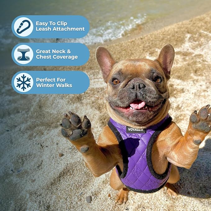 Best Pet Supplies - All Weather Mesh/Plush, Reflective, No Pull Harness for Small, Medium Dogs, Cats - Secure with Hook & Loop Fastener, Buckle, Double D-Rings - Purple Faux Leather, XL