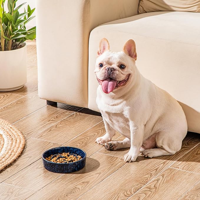 vancasso Slow Feeder Dog Bowl, 0.6 Cups Ceramic Dog Food Dish for Fast Eaters Small Breed, Puzzle Bowl for Small Dogs and Cats, Blue