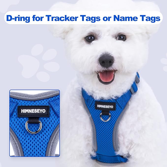 Small Dog Harness and Leash Set, No Pull Adjustable Pet Harness for Small Dogs, Breathable Mesh Rflective Dog Vest Harness (Blue, S)