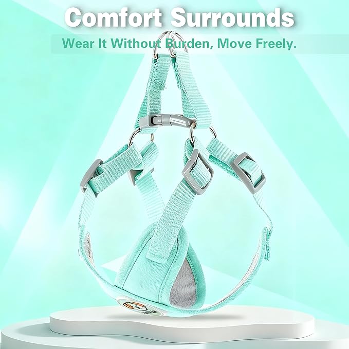 Dog Harness with Leash Set, Puppy Soft Vest No Choke No Pull, Adjustable Neck and Chest, Lightweight Harness and Anti-Twist Pet Leash Combo for Small to Medium Dogs (Green, M-Medium)