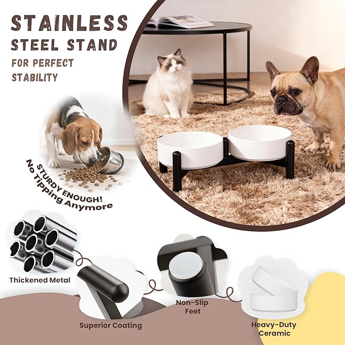 Raised Ceramic Dog Bowl Set - Elevated Double Dishes with Stainless Steel Stand - Food and Water Bowls for Small Dogs and Indoor Cats - Each Holds 2.1 Cups (14 fl oz) - White