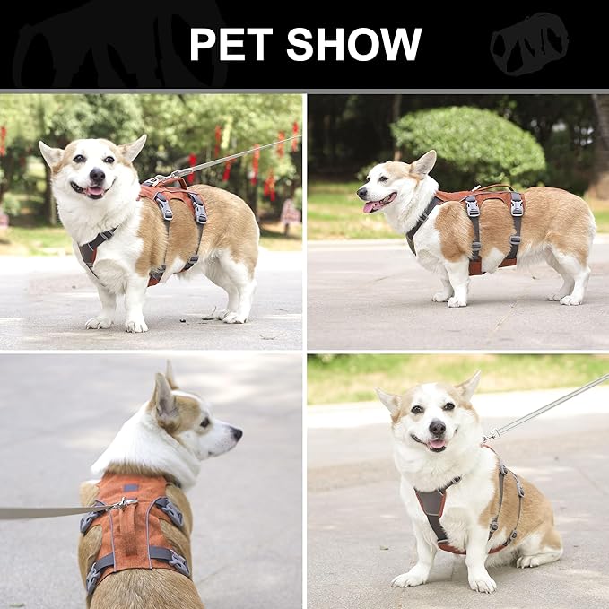 Escape Proof Dog Harness Small Sized Dog, Reflective No Pull Dog Vest with Handle, Lightweight Full Body Pet Harness Adjustable for Walking,Training(Orange,Chest:16-27")