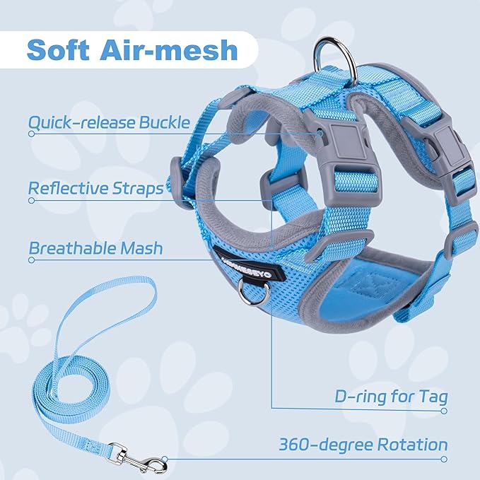 Small Dog Harness and Leash Set, No Pull Adjustable Pet Harness for Small Dogs, Breathable Mesh Rflective Dog Vest Harness (Light Blue, XXS)