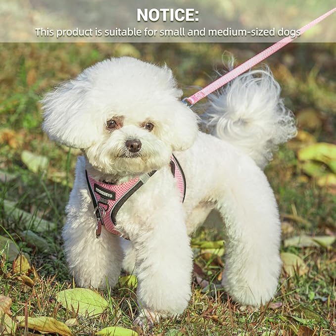 Dog Harness and Leash Set, Dog Harness for Dogs No Pull, No-Chock Step-in Reflective Breathable Lightweight Easy Walk Vest Harnesses with Safety Buckle for Small Medium Dogs, Cats (Pink, S)