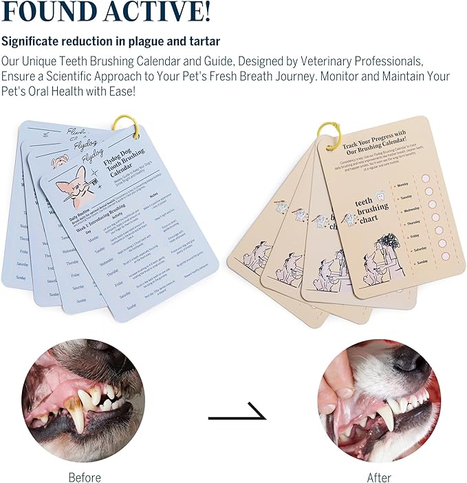 FlyDog Fresh Kiss Dog Tooth Brushing Kit - Vet Approved Formula, Enzymatic Dog Toothpaste and Brush - Breath Freshener & Tartar Remover, 360° Toothbrush & Finger Brush, Dental Guide, Chicken Flavor