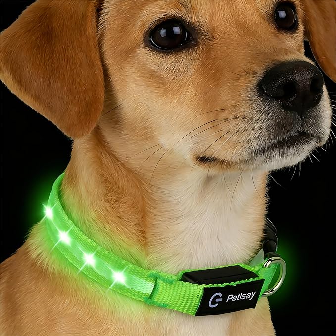LED Dog Collar for Small Dogs Cats - Fully Waterproof & Adjustable Glow Collar - USB-C Rechargeable for Night Walking, Safety - Flashing Lighted Collar for Dogs(Green,S)